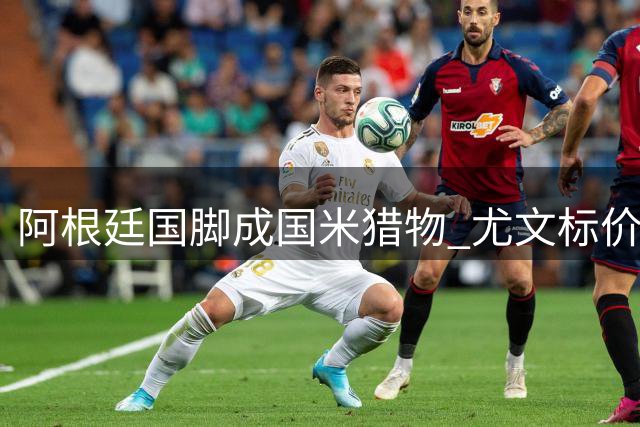 阿根廷国脚成国米猎物 尤文标价2700万欧开启转会博弈