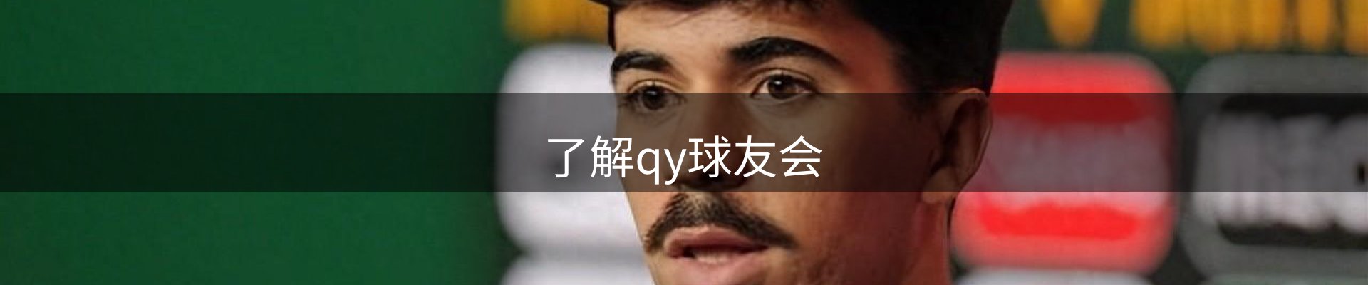了解qy球友会