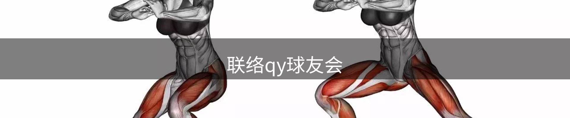联络qy球友会